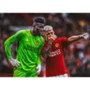 ملصق