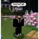 Stika