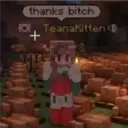 Stika