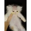 스티커