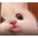 스티커