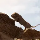 స్టికర్