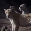 స్టికర్