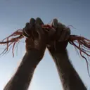 స్టికర్