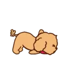 స్టికర్