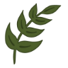 Naklejka