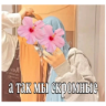Стикер