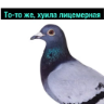 ملصق
