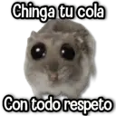 Límmiði