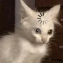 贴纸