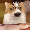 贴纸