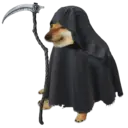 Límmiði