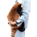 Stika