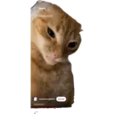 Stika