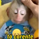 Figurinha