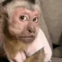 Figurinha