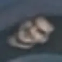 ස්ටිකර්