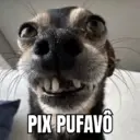 Figurinha