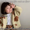 贴纸