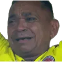 Stika