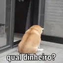 Figurinha
