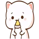 Կպչուն պիտակ