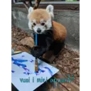 Stika