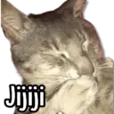 Límmiði