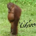 ස්ටිකර්