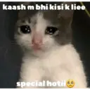 ملصق