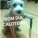 Figurinha