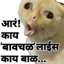 ਸਟਿਕਰ