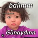 贴纸