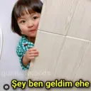 贴纸