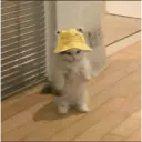 贴纸