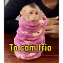 Stika