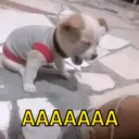 ملصق