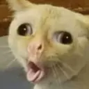 מדבקה