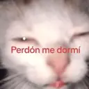 Çıkartma