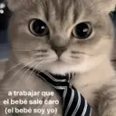 Çıkartma