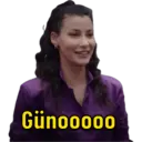 Samolepka