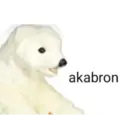 ਸਟਿਕਰ
