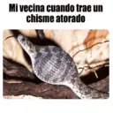 Autocolant
