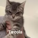 Çıkartma