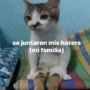 Çıkartma