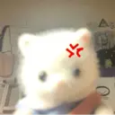 Límmiði