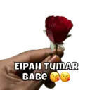 Naljepnica