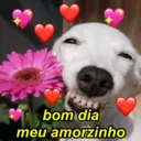 Figurinha