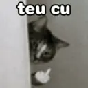 Figurinha
