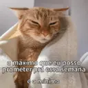 ملصق
